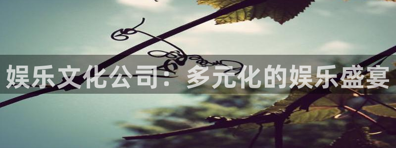 众腾娱乐