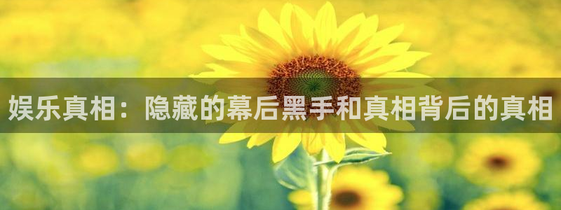 众腾娱乐