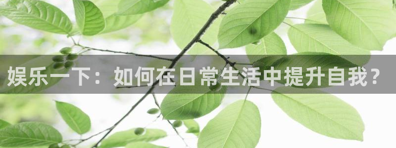 众腾娱乐