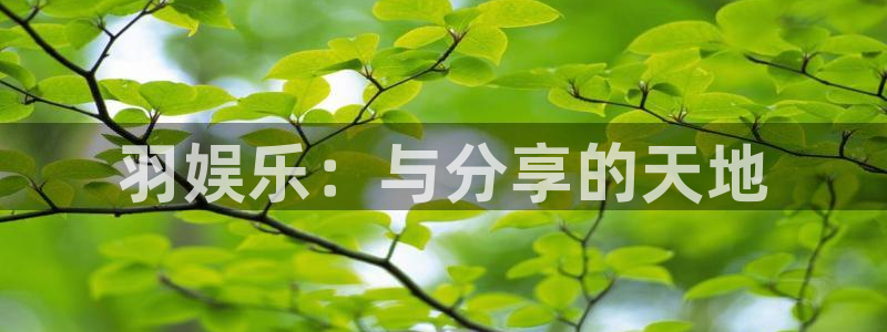 众腾娱乐