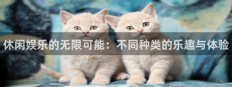 众腾娱乐