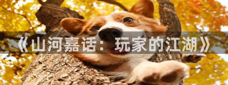 众腾娱乐