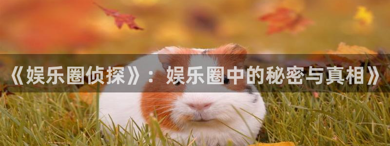 众腾娱乐